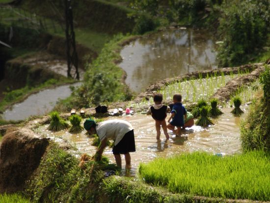  サパ1泊2日ツアー サクッといつでもサパ探訪＜食事付き／日本語ガイド＞