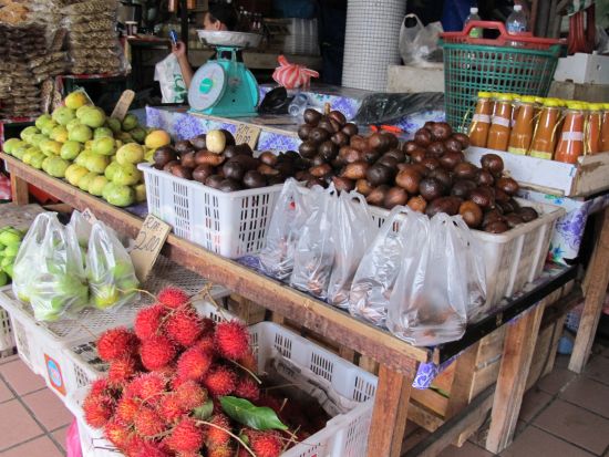 ボルネオ島リバークルーズ＆市内 1日観光ツアー　オランウータン＆テングザル＆ホタルに出会う ＜日本語ガイド／飲茶ランチ／マレー料理ビュッフェディナー＞