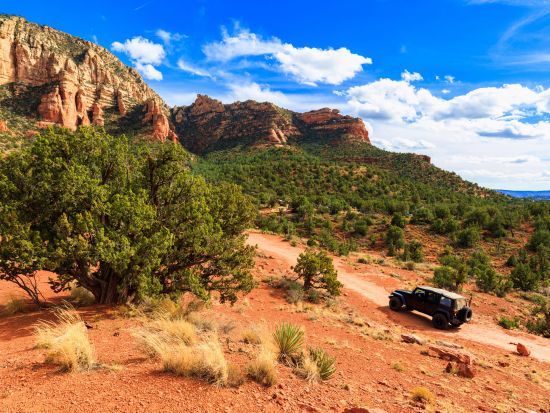 ジープで巡る！歴史あるトレイルをたどる 半日観光ツアー＜英語ガイド＞