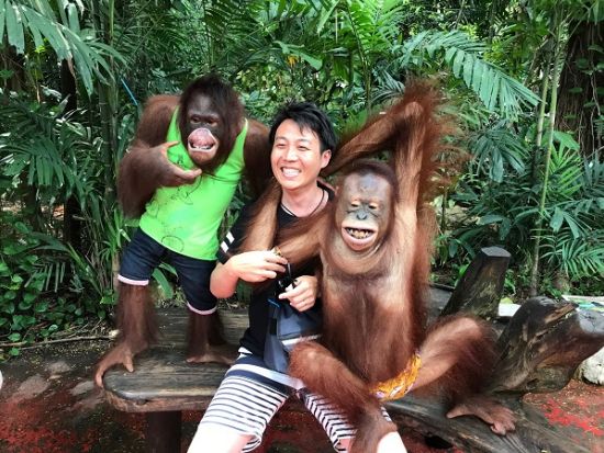 バンコク サファリワールド＋マリンパーク1日ツアー　オラウータンやトラと写真撮影可！お子様連れにも人気＜ホテル送迎／日本語ガイド／昼食付＞