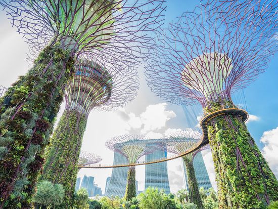 Gardens by the Bay