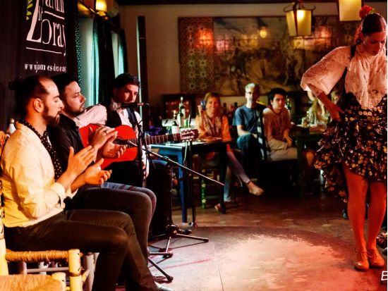 フラメンコ・ショー　タブラオ「ハルディネス・デ・ソラヤ（Jardines de Zoraya）」＜グラナダ＞