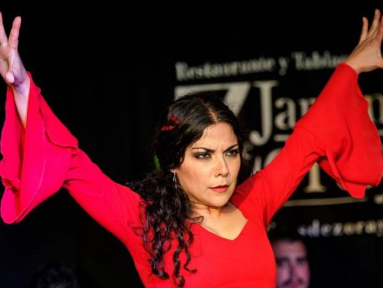 フラメンコ・ショー　タブラオ「ハルディネス・デ・ソラヤ（Jardines de Zoraya）」＜グラナダ＞