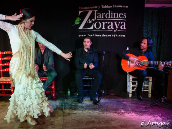 Granada, Jardines de Zoraya, Flamenco