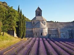 Senanque Abbey - Provence Lavender Tour