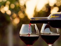 Wine Tasting