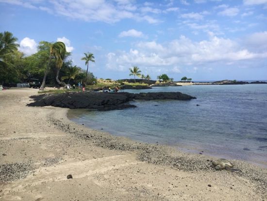 【空港送迎】ハワイ島　コナ空港⇔ホテル　送迎＆半日観光付き！コナ・コーヒー農園+コナの街散策　片道または往復から選べる＜人気店のタコス付／半日／日本語ガイド＞