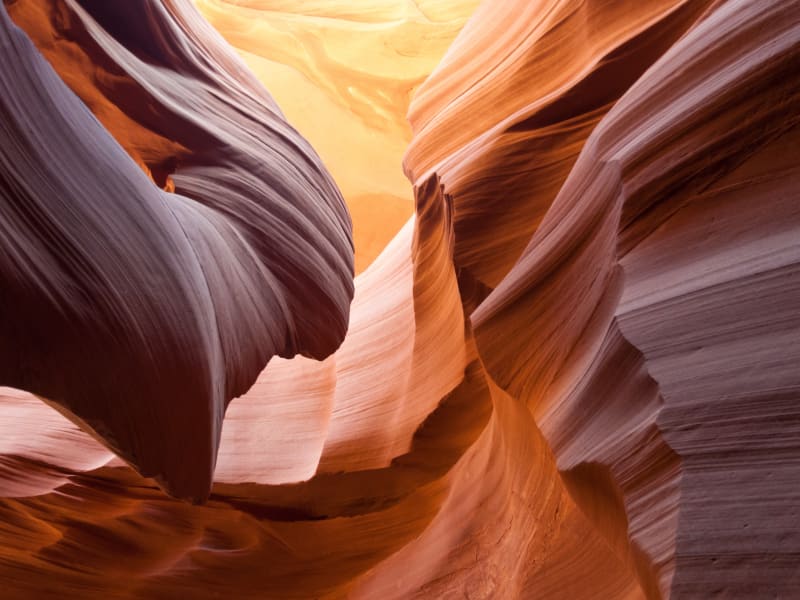 Antelope Canyon Full Day Sightseeing Tour With Horseshoe Bend Visit Tours Activities Fun Things To Do In Phoenix Scottsdale Usa Veltra