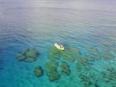 送付頂いた画像3-IMG_8491 (2)