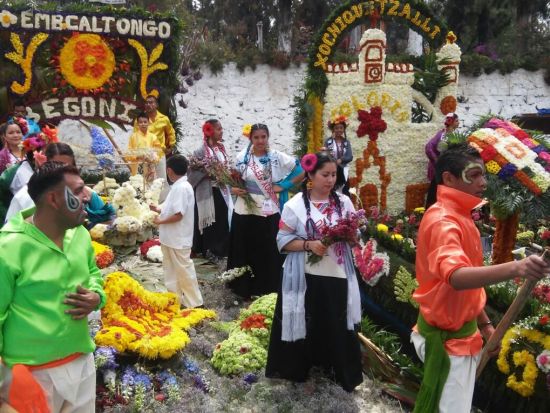 世界遺産ソチミルコ＆コヨアカン観光ツアー　フリーダ・カーロ美術館見学＆昼食付きプランあり＜混載／1日／英語ガイド／メキシコ・シティ発＞