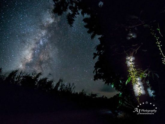 星空撮影レクチャー＋オンデマンド講座 プロのフォトグラファーが星空撮影スキルを伝授！みっちり学べる少人数制ツアー＜三脚レンタル無料＞