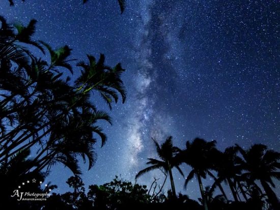 星空撮影レクチャー＋オンデマンド講座 プロのフォトグラファーが星空撮影スキルを伝授！みっちり学べる少人数制ツアー＜三脚レンタル無料＞