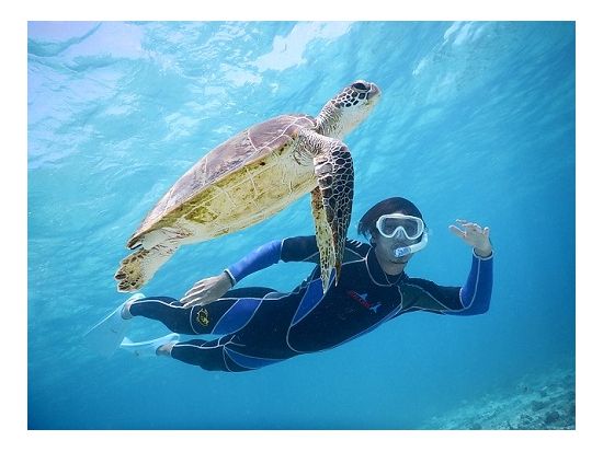 ウミガメシュノーケリング＋マリンスポーツ 癒しのウミガメと楽しいマリンスポーツがお得に楽しめるセットプラン＜写真付き／宮古島＞