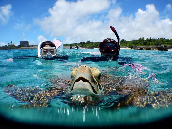 ウミガメシュノーケリングツアー 6歳から参加OK！お子様連れでも安心安全＜3月～11月催行／写真付き／宮古島＞