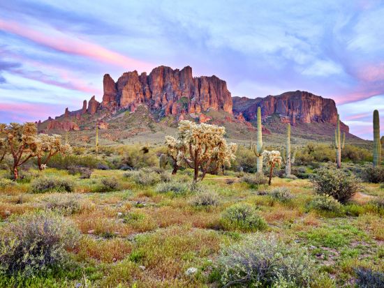 アパッチトレイル観光ツアー 蒸気船クルーズ乗船＆ロスト・ダッチマン州立公園＜英語ガイド／フェニックス・スコッツデールまたはその周辺エリア発＞