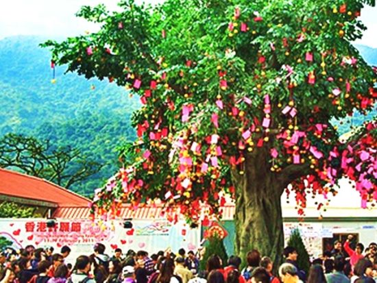 九龍島観光ツアー　許願樹＆車公廟の開運スポット巡り ＜貸切／半日／日本語ガイド／空港送迎オプション有＞