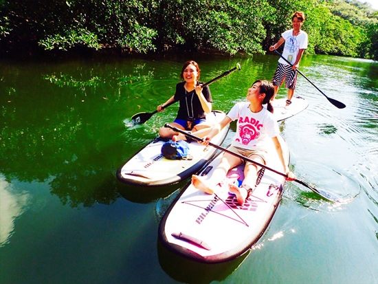 【ベストプライス】西表島マングローブSUPツアー　安定感のあるボードで亜熱帯の川をクルーズ　嬉しい昼食付き！＜指定ホテル送迎選択可／石垣島発＞