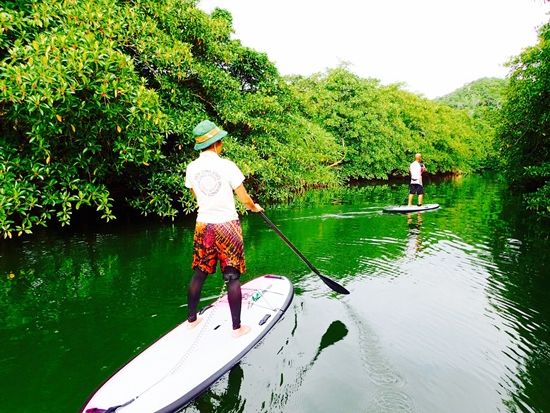 【ベストプライス】西表島マングローブSUPクルーズ＋選べる竹富島観光ツアー＜指定ホテル送迎選択可／石垣島発＞