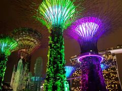 Gardens by the Bay, Singapore