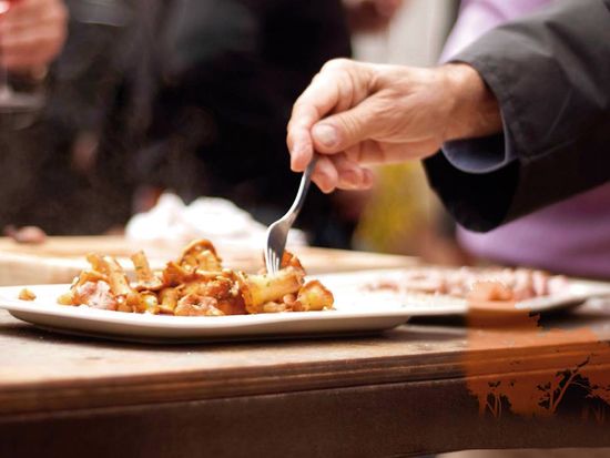 spain, barcelona, cava, tour, wine, tasting