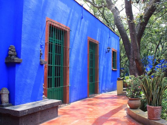 世界遺産ソチミルコ＆コヨアカン観光ツアー　フリーダ・カーロ美術館見学＆昼食付きプランあり＜混載／1日／英語ガイド／メキシコ・シティ発＞