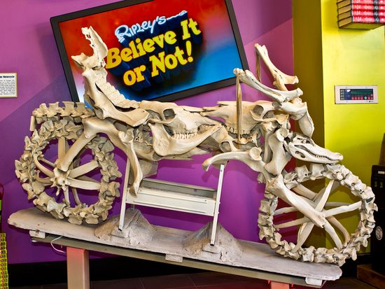 USA_Florida_Miami_Ripleys Believe it or not