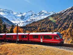 Bernina Express Tour from Milan