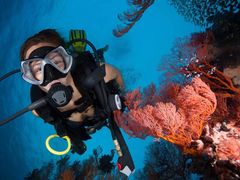 scuba-diving-port-douglas_orig