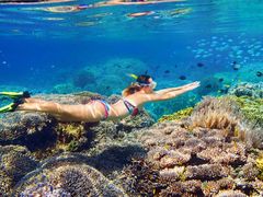 snorkelling-port-douglas-aquaquest_orig