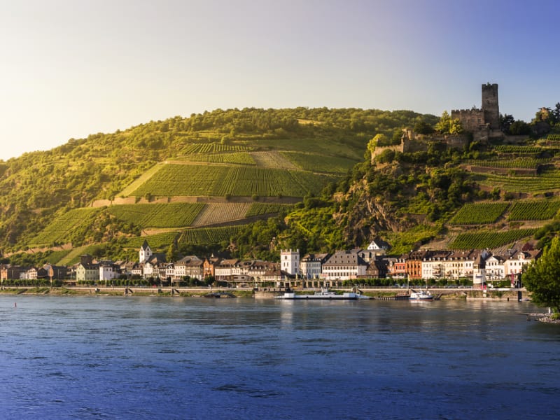 River, Rhine Valley, Sightseeing Cruise, Germany