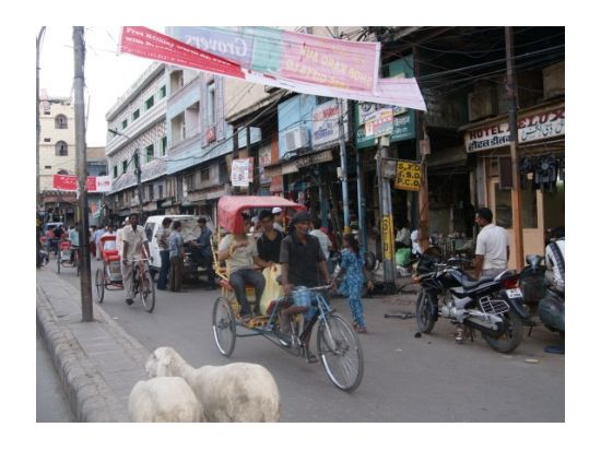 地元っ子気分を満喫☆リキシャで巡る！チャンドニー・チョーク半日観光ツアー＜日本語ガイド／午前／プライベート／デリー発＞
