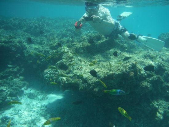 百合ヶ浜上陸＋シュノーケリングツアー　無料シャワー完備！現地集合プランは当日8時まで予約OK＜5～10月／与論島内ホテル送迎可＞by ヨロン島シーマンズクラブ