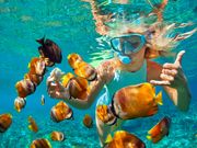 Snorkel and swim with colorful fish