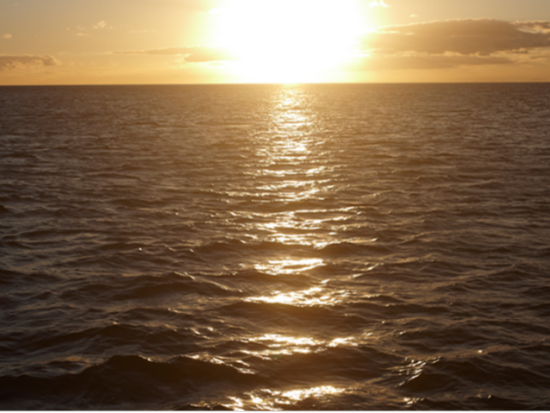 サンセットセーリング　ホヌラニ号　アルコール2杯＆ソフトドリンク飲み放題＆軽食付き＜ケワロ湾発＞