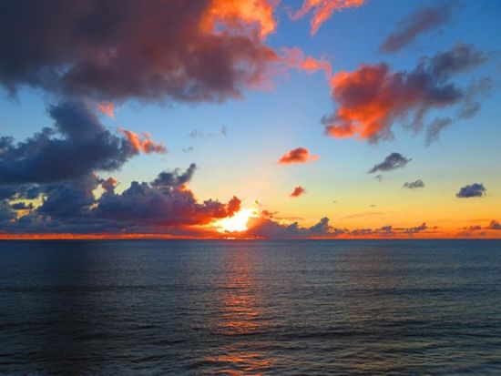 サンセットセーリング　ホヌラニ号　アルコール2杯＆ソフトドリンク飲み放題＆軽食付き＜ケワロ湾発＞