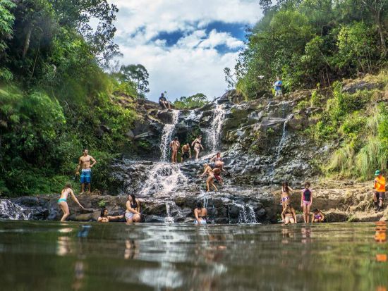 カウアイ島 ジップライン7本　ハイキング+天然プールでの遊泳付き＜英語インストラクター／リフエ近郊／昼食付き＞