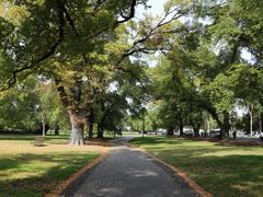 Australia_Melbourne_Fitzroy_Gardens_123RF_24735086_M