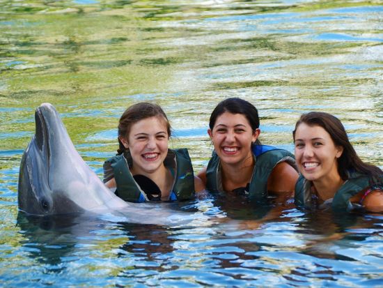 カハラホテル＆リゾート　ドルフィン・クエスト　イルカとの触れ合い体験プログラム！