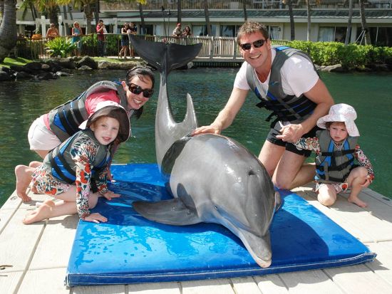 カハラホテル＆リゾート　ドルフィン・クエスト　イルカとの触れ合い体験プログラム！