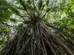 shutterstock_404209417
