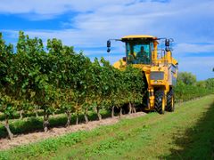 Canada_Toronto_winery