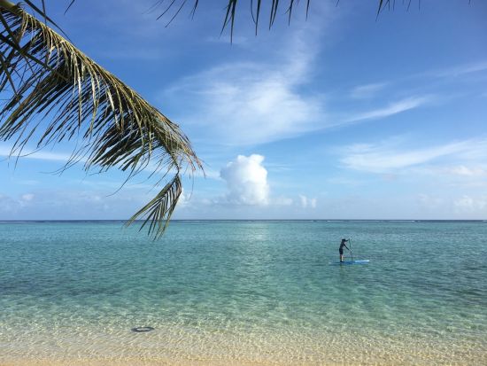 【プライベートツアー】モーニングSUP＋シュノーケリング　人が少ない早朝の静かな海を堪能！＜日本語／送迎付き＞byオーシャンフリーク