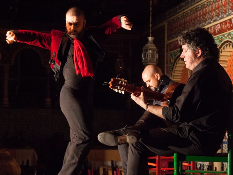 Flamenco, Performers