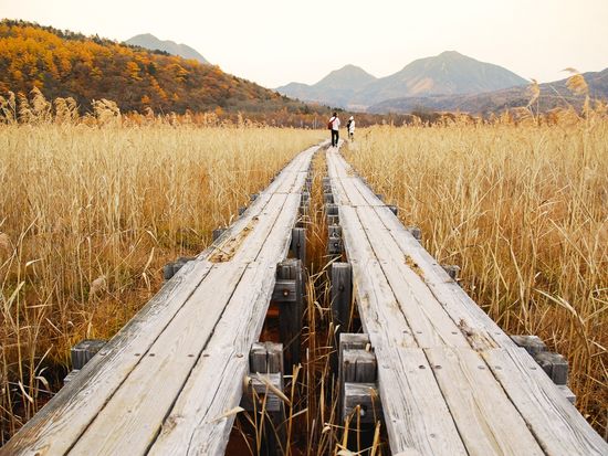 shutterstock_579246736