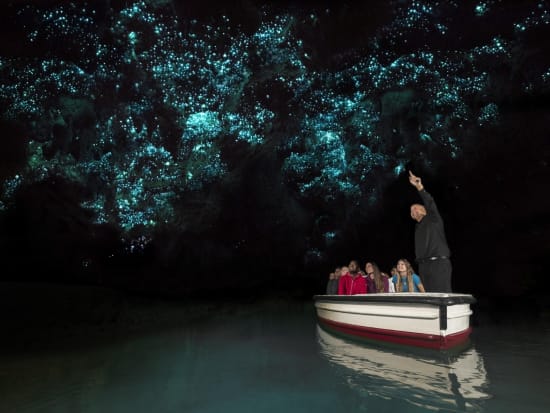 Waitomo Glowworm Caves Auckland