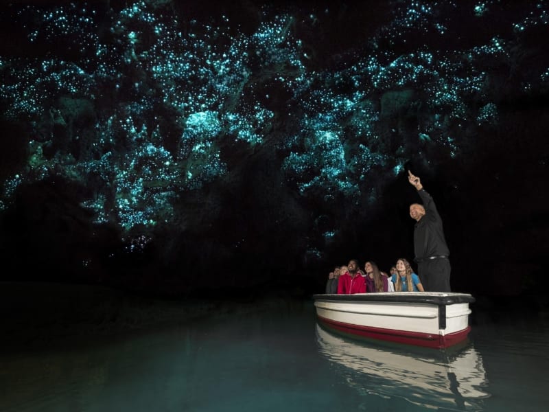 Waitomo Glowworm Caves Auckland
