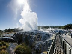 Whakarewarewa Thermal Valley's Pohutu geyser