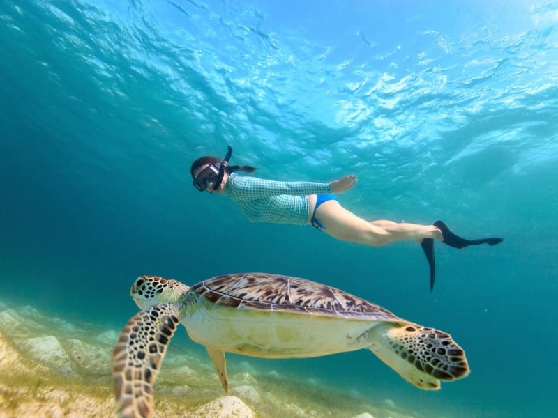 Lanai Snorkeling Cruises (Snorkeling Cruises & Tours), Maui tours