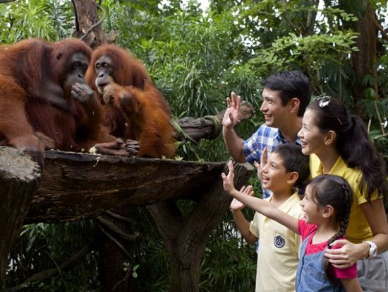 シンガポール動物園＆リバーワンダー 入場チケット 2つのパーク巡り　アニマルショー＋トラム乗車＋動物たちとの朝食付き＜朝食／午前／日本語ガイド＞ 