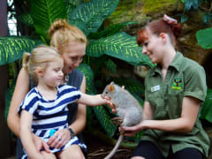 Cairns ZOOM and Wildlife Dome meet animals